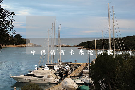 中信信用卡未逾期被止付(中信信用卡被止付了怎么办)