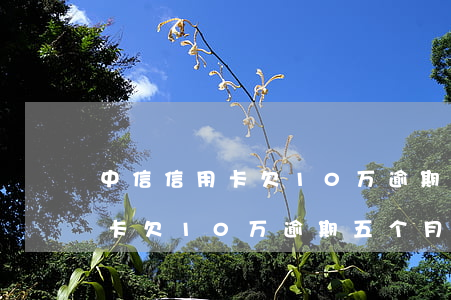 中信信用卡欠10万逾期五个月-中信信用卡欠10万逾期五个月会怎样