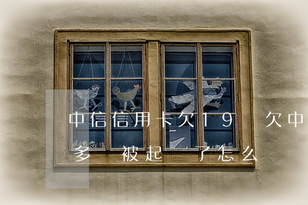中信信用卡欠19萬(欠中信銀行信用卡20多萬被起訴了怎么辦)