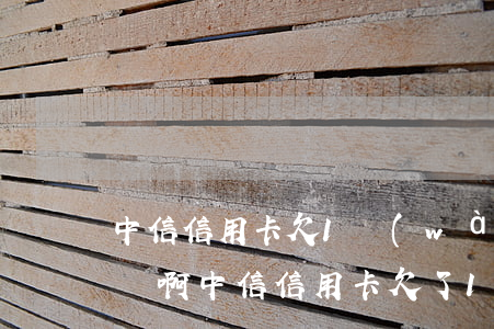 中信信用卡欠1萬(wàn)多被起訴怎么辦啊（中信信用卡欠了1萬(wàn)）