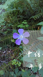 中信信用卡欠2万3(中信信用卡欠2万多,一年多没还了有什么后果)
