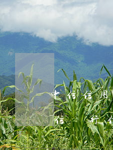 中信信用卡欠2萬逾期3個(gè)月了(中信銀行信用卡2萬逾期三年)
