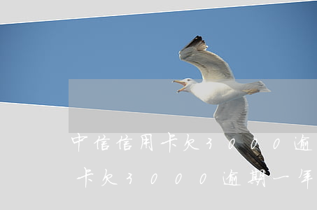 中信信用卡欠3000逾期一年-中信信用卡欠3000逾期一年會(huì)怎么樣