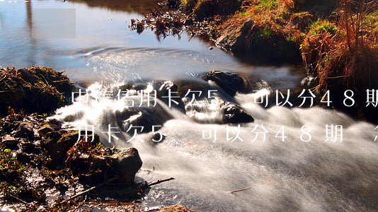 中信信用卡欠5萬可以分48期嗎-中信信用卡欠5萬可以分48期嗎怎么還