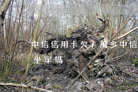 中信信用卡欠7萬多(中信信用卡欠7萬多會坐牢嗎)