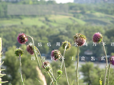 中信信用卡欠两万不还(中信银行信用卡欠款四万还不上会怎么办)