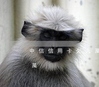 中信信用卡欠九萬多(中信銀行欠信用卡10萬)