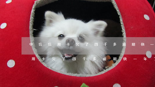 中信信用卡欠了四千多逾期快一年-中信信用卡欠了四千多逾期快一年了怎么辦