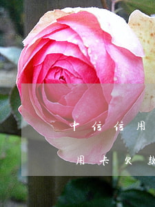 中信信用卡欠款六萬一定會起訴嗎-中信信用卡欠款六萬一定會起訴嗎知乎