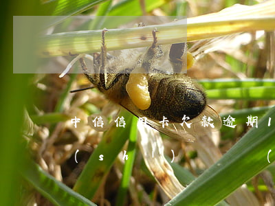 中信信用卡欠款逾期1年(中信信用卡逾期時(shí)間過長(zhǎng))