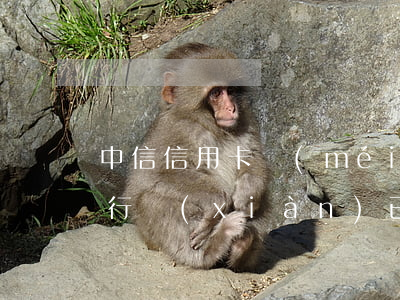 中信信用卡沒(méi)逾期被停用(中信銀行現(xiàn)已暫停用卡)