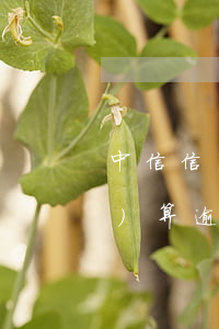 中信信用卡沒(méi)還完款會(huì)算逾期嗎-中信信用卡沒(méi)還完款會(huì)算逾期嗎怎么辦