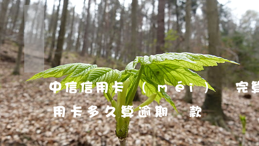 中信信用卡沒(méi)還完算不算逾期 信用卡多久算逾期還款