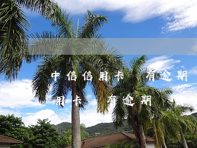 中信信用卡沒有逾期為什么降額度-中信信用卡沒有逾期為什么降額度了