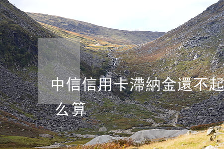 中信信用卡滯納金還不起(中信銀行滯納金怎么算)