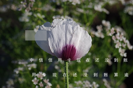 中信信用卡现在还没到账算逾期吗-中信信用卡现在还没到账算逾期吗怎么办