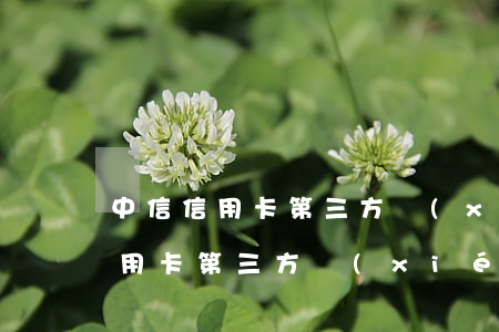 中信信用卡第三方協(xié)商-中信信用卡第三方協(xié)商分期官方認同嗎