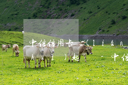中信信用卡聯(lián)系不到本人會(huì)起訴嗎-中信信用卡聯(lián)系不到本人會(huì)起訴嗎怎么辦
