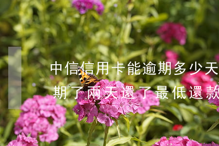 中信信用卡能逾期多少天還款-中信銀行逾期了兩天還了最低還款會逾期嗎