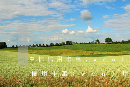 中信信用卡萬(wàn)用金逾期后果(中信信用卡萬(wàn)用金逾期后果)