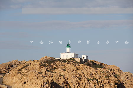 中信信用卡诉前协商(中信银行 协商)
