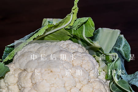 中信信用卡賬戶逾期說是打包處理 中信信用卡賬戶逾期說是打包處理