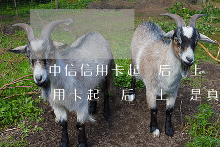 中信信用卡起訴后還上門是真的嗎-中信信用卡起訴后還上門是真的嗎嗎