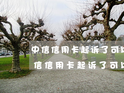 中信信用卡起诉了可以和法官协商调解-中信信用卡起诉了可以和法官协商调解吗
