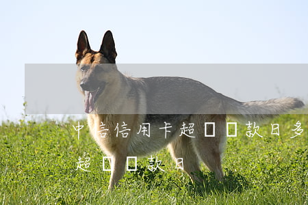 中信信用卡超過還款日多久算逾期(中信銀行超過還款日)