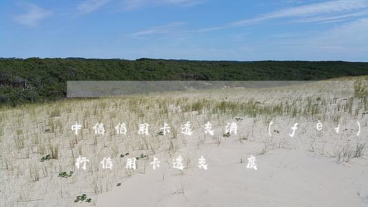 中信信用卡透支消費(fèi)額度(中信銀行信用卡透支額度)