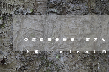 中信信用卡透支額度怎么查(網(wǎng)上申請(qǐng)的中信信用卡怎么查額度)