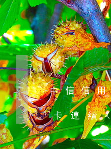 中信信用卡連續(xù)逾期三次(中信信用卡連續(xù)逾期三次)