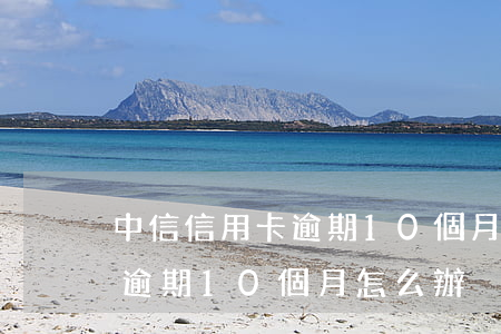 中信信用卡逾期10個月怎么辦(中信信用卡逾期10個月怎么辦)