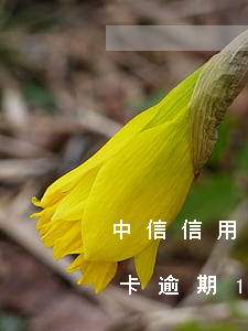 中信信用卡逾期10天了怎么辦-中信信用卡逾期10天了怎么辦理