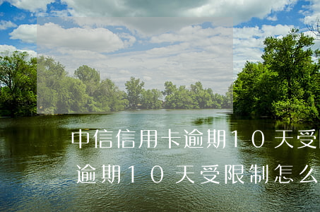 中信信用卡逾期10天受限制-中信信用卡逾期10天受限制怎么辦