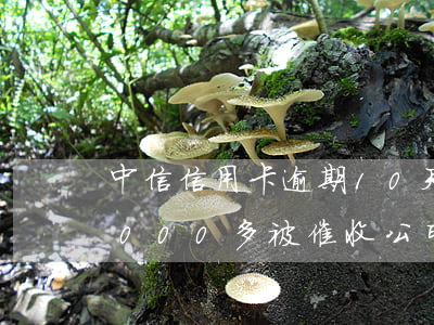 中信信用卡逾期10天被催收 欠中信銀行6000多,被催收公司警告