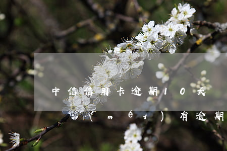 中信信用卡逾期10天銀行說(shuō)還沒(méi)有逾期-中信信用卡逾期10天銀行說(shuō)還沒(méi)有逾期怎么辦