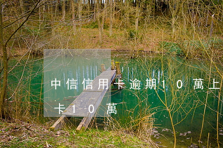 中信信用卡逾期10萬上海(中信銀行欠信用卡10萬)