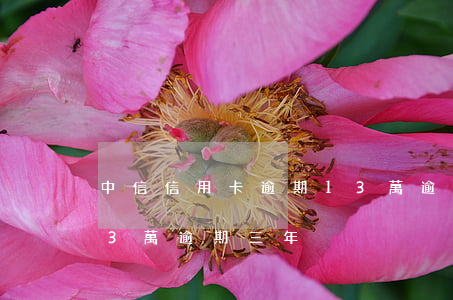 中信信用卡逾期13萬逾期三年-欠信用卡3萬逾期三年