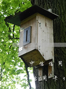 中信信用卡逾期14萬(wàn)一年(中信信用卡3000逾期五年了)