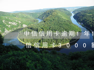 中信信用卡逾期1年18萬(wàn)-中信信用卡3000額度逾期一年