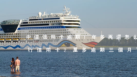 中信信用卡逾期1年多再還怎么辦(欠中信銀行信用卡2萬多逾期三個月了怎么辦)