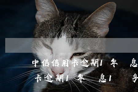 中信信用卡逾期1年罰息1萬多少（中信信用卡逾期1年罰息1萬多）