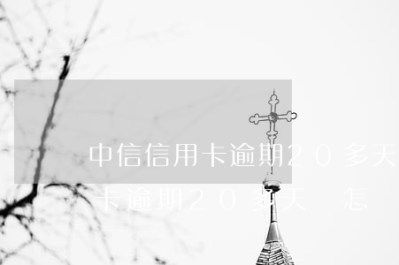 中信信用卡逾期20多天會怎樣-中信信用卡逾期20多天會怎樣處理