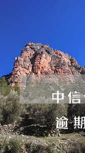 中信信用卡逾期20天什么后果(中信信用卡逾期20天什么后果最嚴(yán)重)