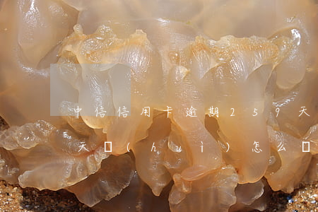中信信用卡逾期259天(中信信用卡逾期兩天會(huì)怎么樣?)