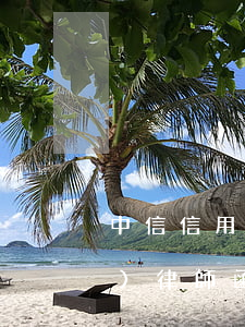中信信用卡逾期2個(gè)月就發(fā)律師函了嗎-中信信用卡逾期2個(gè)月就發(fā)律師函了嗎是真的嗎