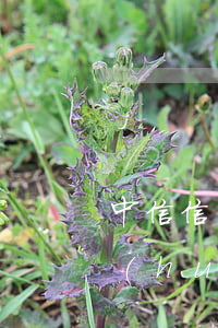 中信信用卡逾期2天(中信信用卡逾期2天會(huì)影響征信不)
