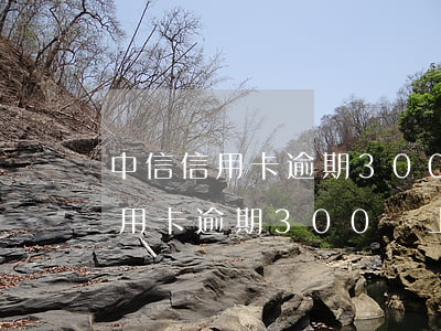 中信信用卡逾期300塊上征信嗎-中信信用卡逾期300塊上征信嗎有影響嗎