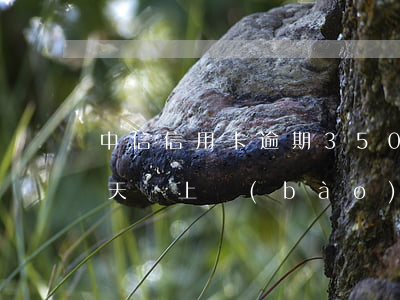 中信信用卡逾期3500(中信信用卡逾期幾天,會上報(bào)征信報(bào)告)
